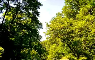 Парцел във Варна, с. Близнаци
