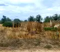 Снимка 3 — Парцел във Варна, с. Ботево