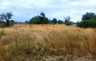 Парцел във Варна, с. Ботево