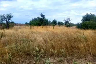 Парцел във Варна, с. Ботево
