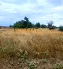 Парцел във Варна, с. Ботево