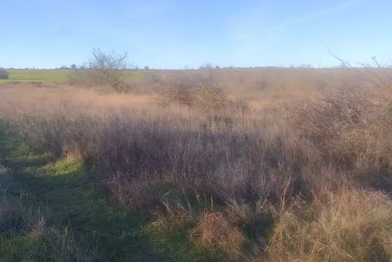 Парцел във Варна, с. Кичево