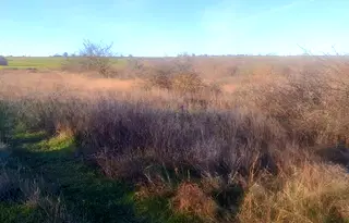 Парцел във Варна, с. Кичево
