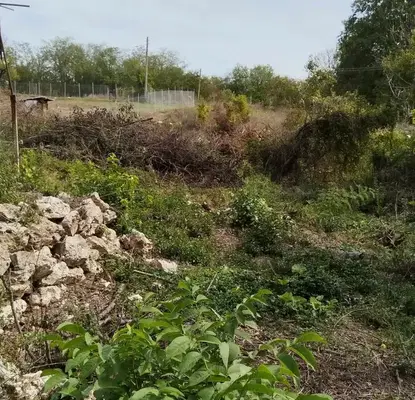 Photo 3 — Plot in Oblast Varna, Oreshak