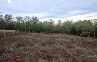 Парцел във Варна, с. Приселци