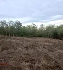 Парцел във Варна, с. Приселци