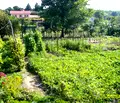 Снимка 2 — Парцел във Варна, с. Радево