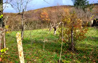 Парцел във Варна, с. Слънчево