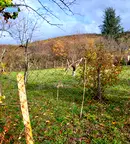 Парцел във Варна, с. Слънчево