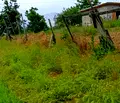 Снимка 4 — Парцел във Варна, с. Юнак