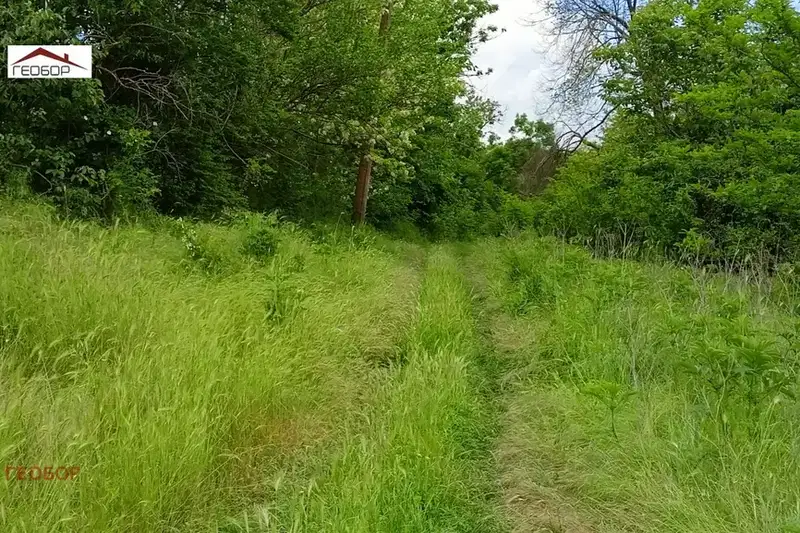 Plot in Varna, Yunak