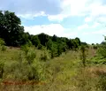 Снимка 4 — Парцел във Варна, с. Здравец