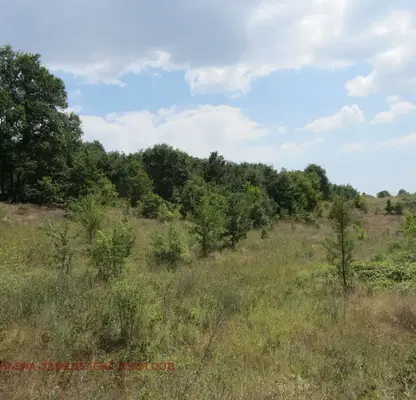 Photo 4 — Plot in Varna, Zdravec