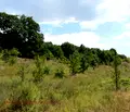 Снимка 5 — Парцел във Варна, с. Здравец