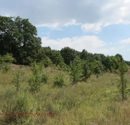 Photo 5 — Plot in Varna, Zdravec