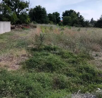 Photo 2 — Plot in Oblast Veliko Tyrnovo, Dolna Oryahovica