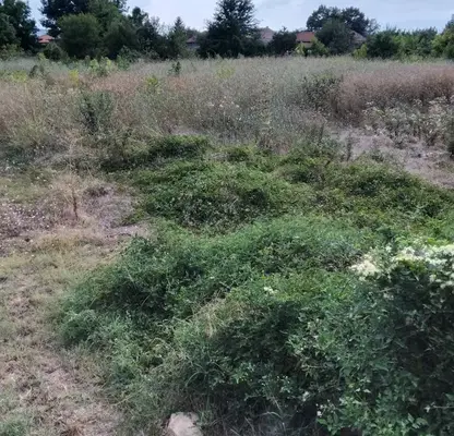 Photo 3 — Plot in Oblast Veliko Tyrnovo, Dolna Oryahovica