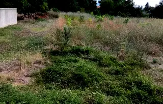 Парцел във Велико Търново, Долна Оряховица
