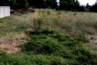 Парцел във Велико Търново, Долна Оряховица