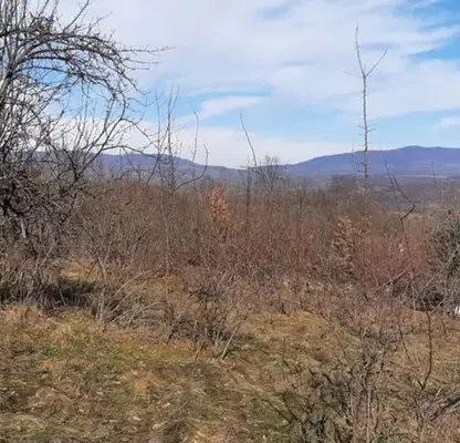 Photo 3 — Plot in Oblast Veliko Tyrnovo, Elena