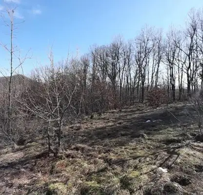 Photo 4 — Plot in Oblast Veliko Tyrnovo, Elena