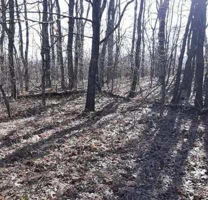 Photo 5 — Plot in Oblast Veliko Tyrnovo, Elena