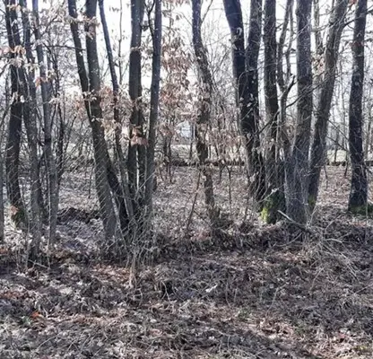 Photo 5 — Plot in Veliko Tyrnovo, Elena