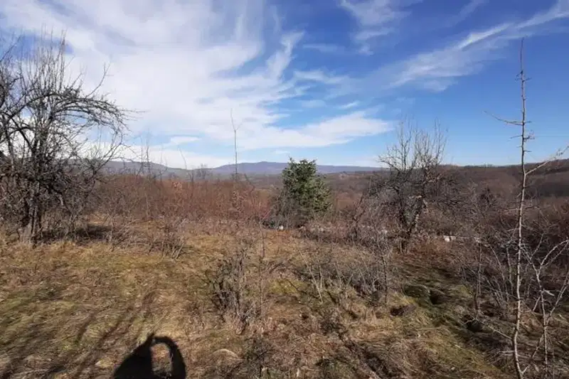 Plot in Oblast Veliko Tyrnovo, Elena