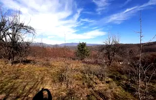 Парцел във Велико Търново, Елена