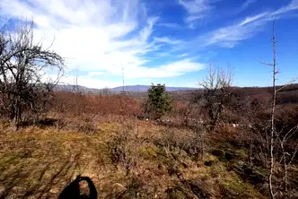 Парцел във Велико Търново, Елена