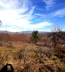 Парцел във Велико Търново, Елена