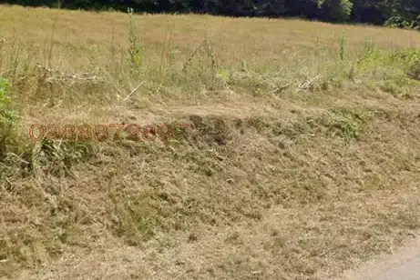 Plot in Oblast Veliko Tyrnovo, Elena