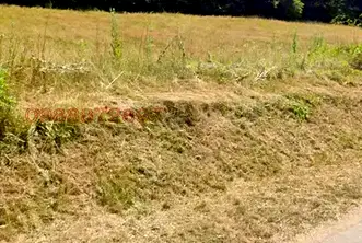 Парцел във Велико Търново, Елена