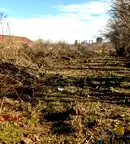 Парцел във Велико Търново, Горна Оряховица