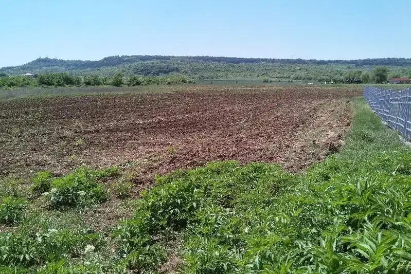 Парцел във Велико Търново, Лясковец