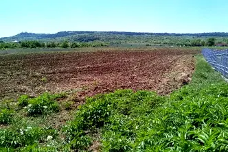 Парцел във Велико Търново, Лясковец