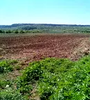 Парцел във Велико Търново, Лясковец
