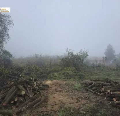 Photo 4 — Plot in Veliko Tyrnovo, Dyskot