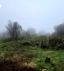 Парцел във Велико Търново, с. Дъскот