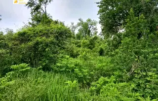 Парцел във Велико Търново, с. Къпиново