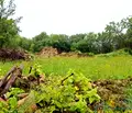 Снимка 5 — Парцел във Велико Търново, с. Ново село