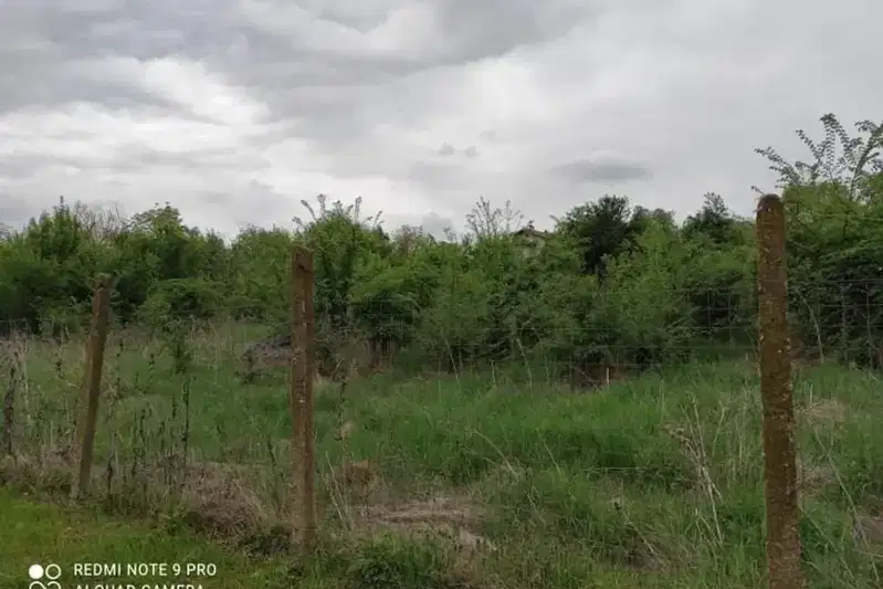 Plot in Oblast Veliko Tyrnovo, Pchelishte