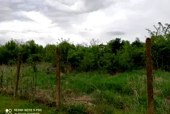 Парцел във Велико Търново, с. Пчелище
