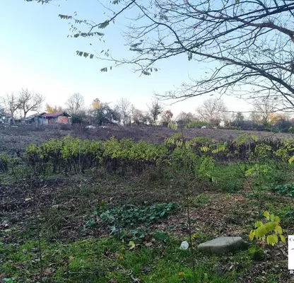 Photo 3 — Plot in Oblast Veliko Tyrnovo, Plakovo