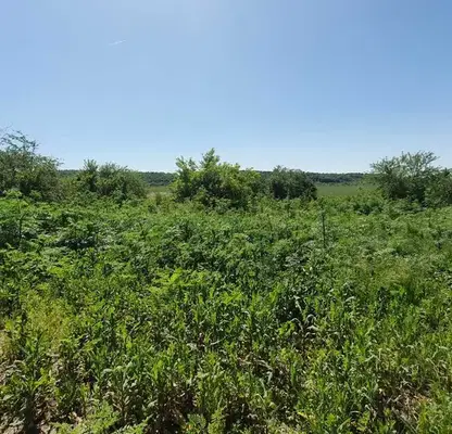 Photo 3 — Plot in Oblast Veliko Tyrnovo, Prisovo