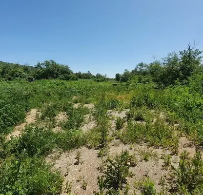 Photo 4 — Plot in Oblast Veliko Tyrnovo, Prisovo