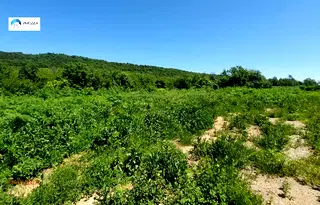Парцел във Велико Търново, с. Присово