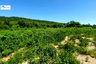 Парцел във Велико Търново, с. Присово