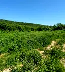 Парцел във Велико Търново, с. Присово