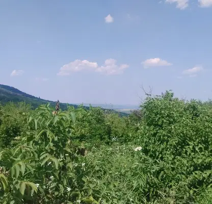 Photo 2 — Plot in Oblast Veliko Tyrnovo, Sheremetya